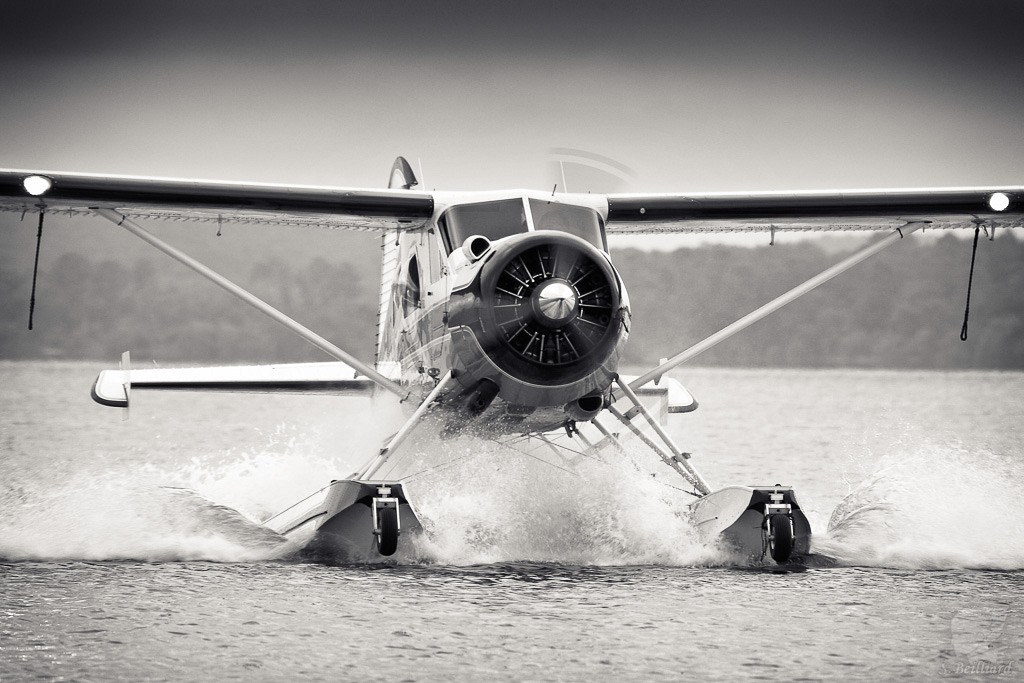 DeHavilland Beaver