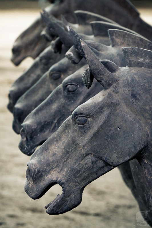 Terracotta Army Horses