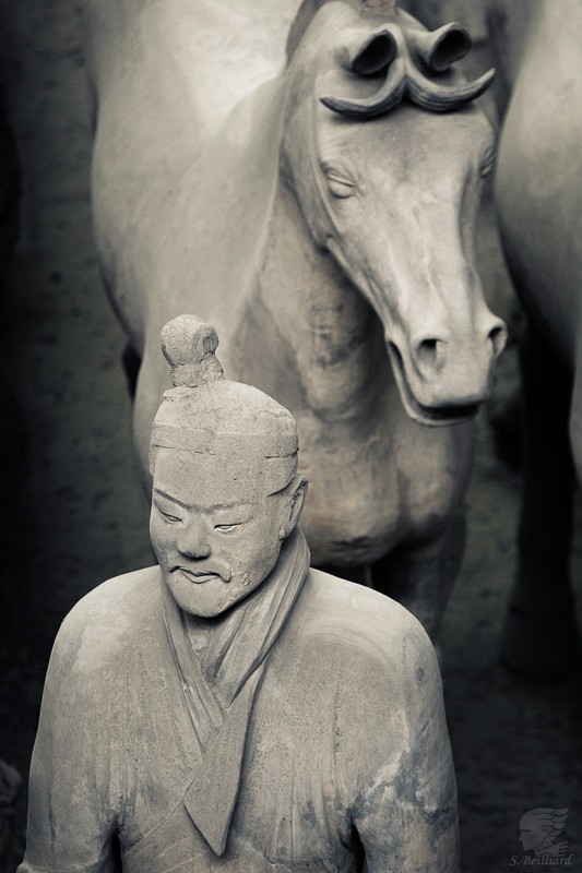 Terracotta Army soldier and horsed 