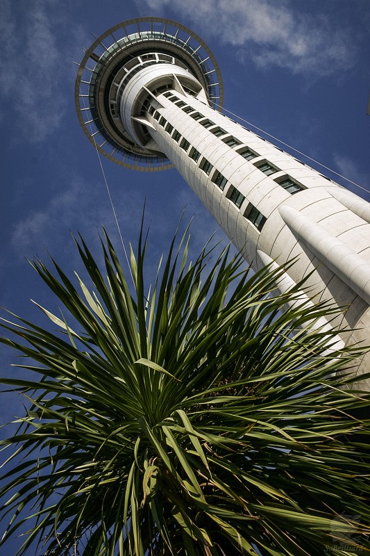 Auckland  Sky Tower