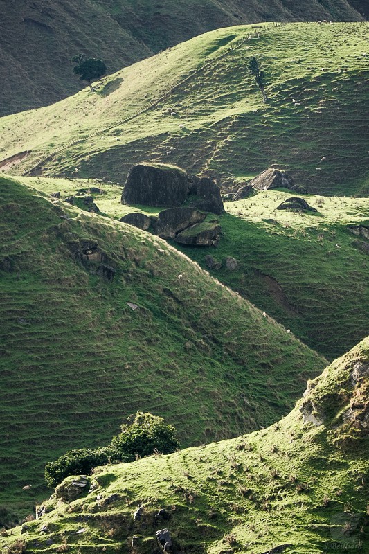 Hills and Sheeps