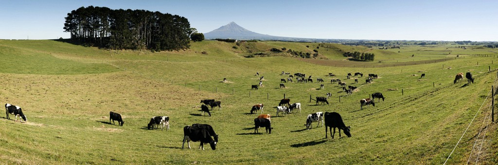 Taranaki Milkland