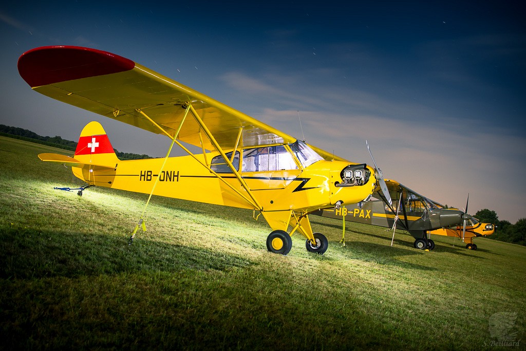 Cub at Rest