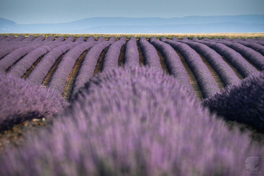 Luberon