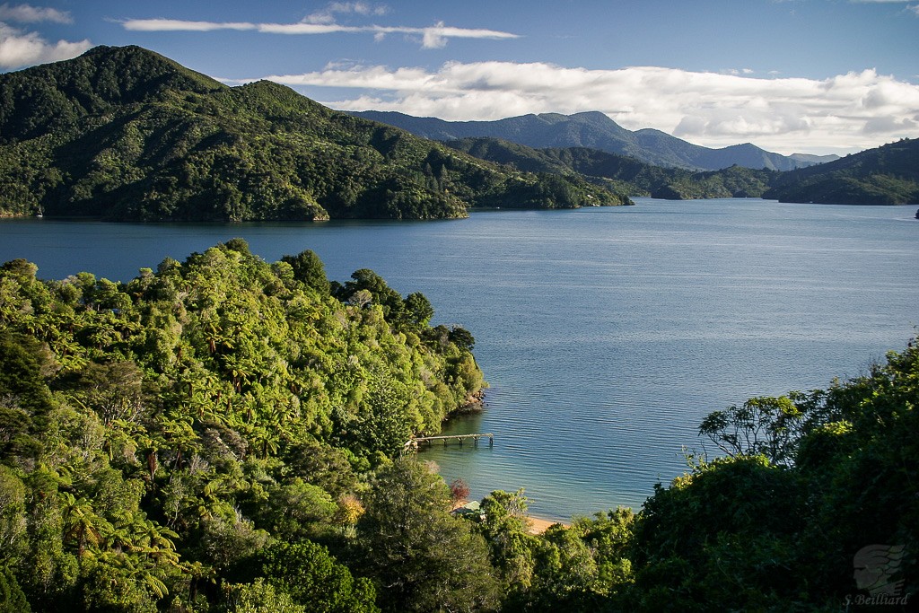 Queen Charlotte Sound