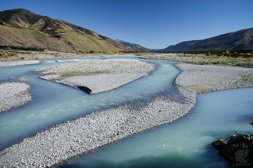 Wairau River