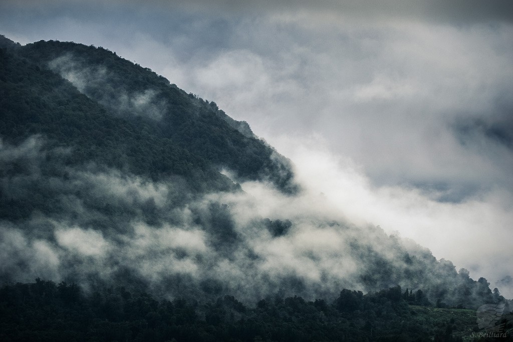 Cloudy Hills