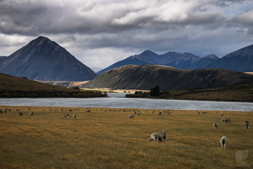 Arthur Pass Road