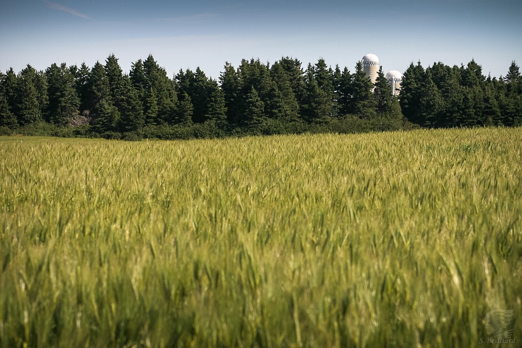 Quebec Agricole