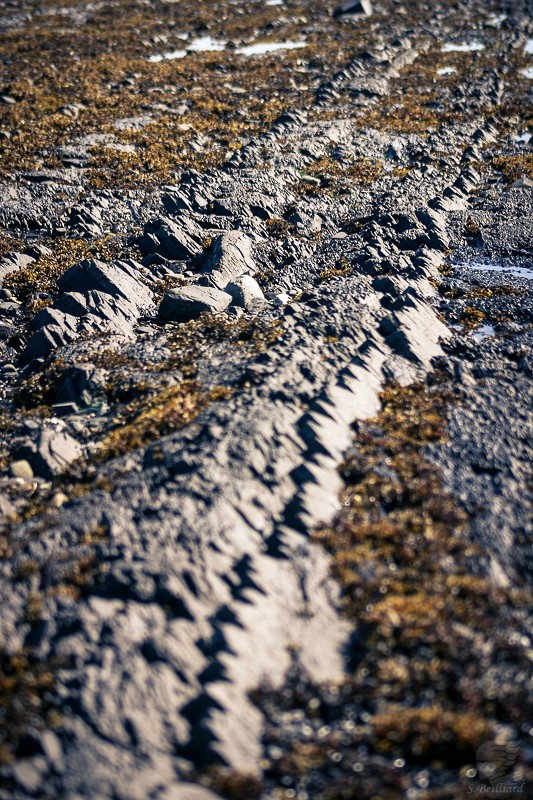 Rocks of Saint Laurent