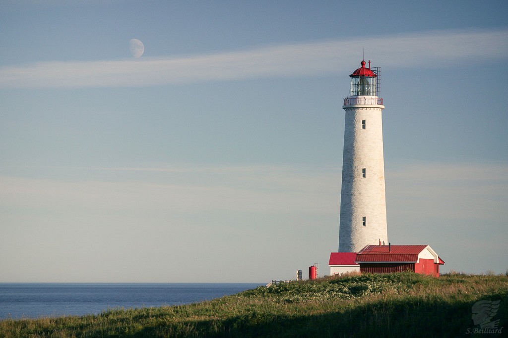 Cap des Rosiers 2