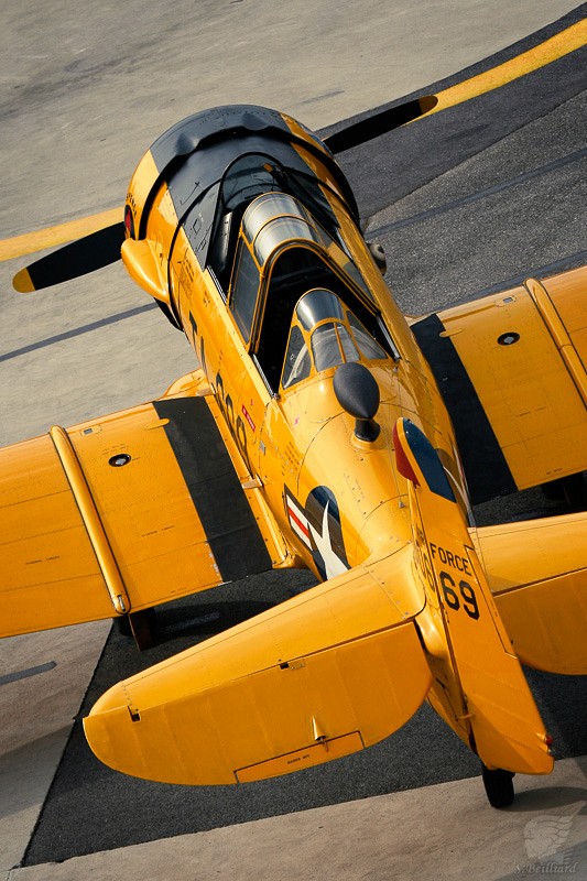 North American T-6