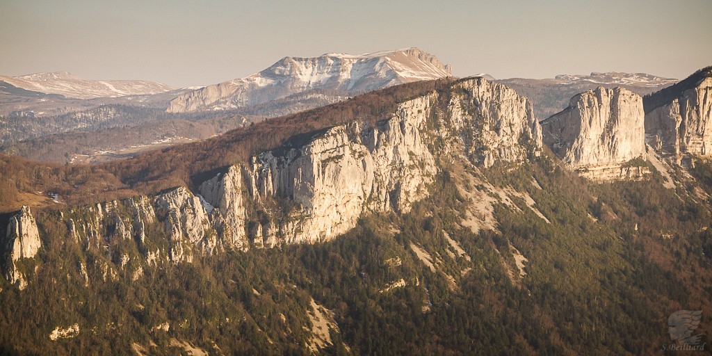 Vercors - Gisant