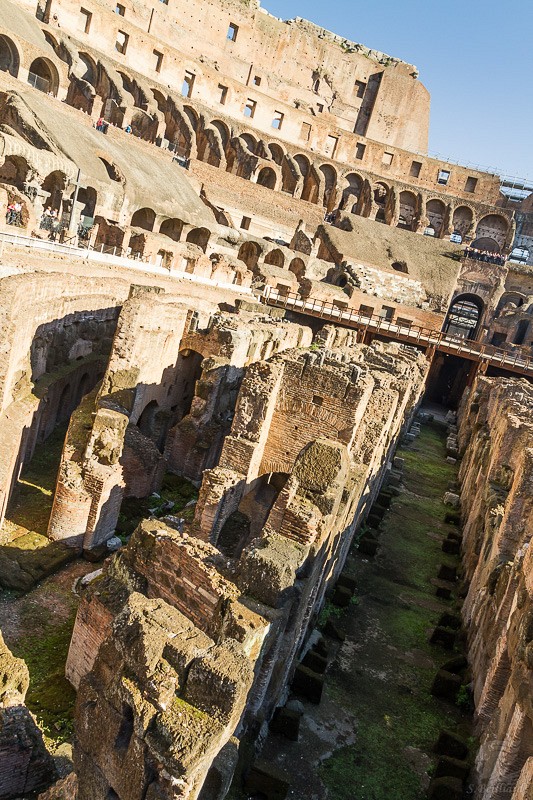 Colosseum Arena