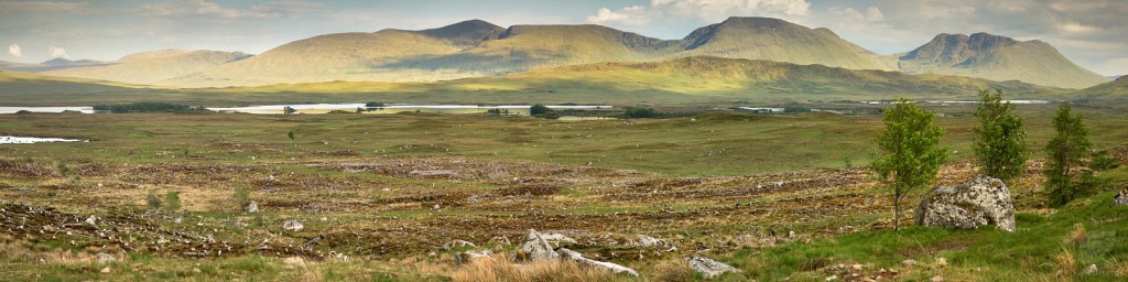 Loch Laidon Marsh