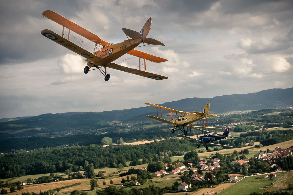 Tiger Moth & Moth Major