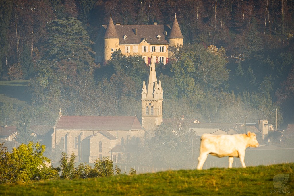 Chateau - Terres Froides