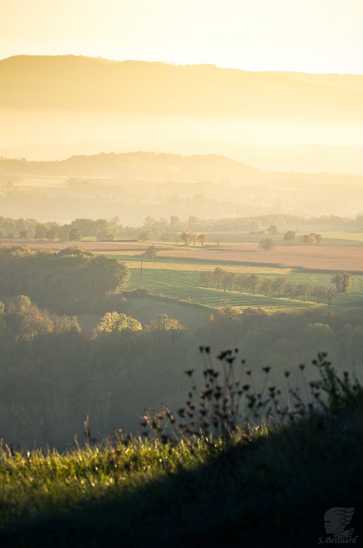 Collines - Terres Froides