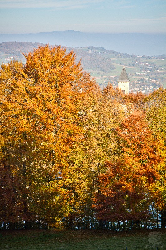 St Sixte - Terres Froides