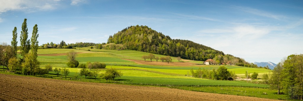 Terres Froides - La Placette