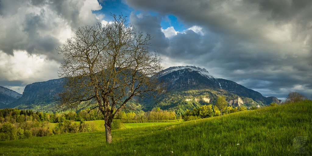 Terres Froides - Chartreuse