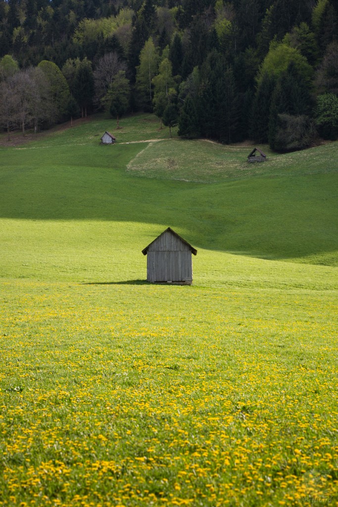 Petit Chalet