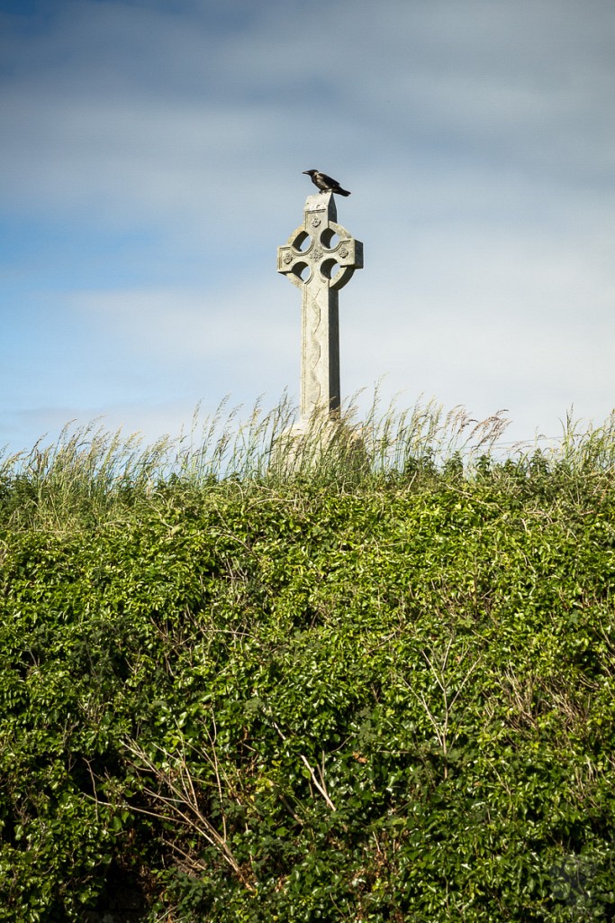 Crow and Cross